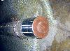  Unknown Rebuilt Baler Cylinder, 8-3/8" diameter.